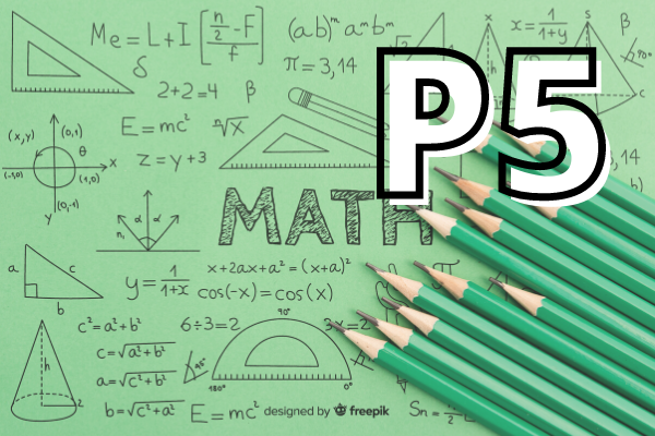 Primary 5 Mathematics